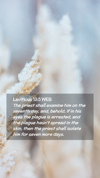 Picture 02 - Leviticus 13:5 WEB Mobile Phone Wallpaper - The priest shall examine him on the seventh day, - Mobile Bible Verse Wallpaper