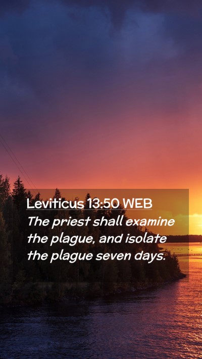 Picture 02 - Leviticus 13:50 WEB Mobile Phone Wallpaper - The priest shall examine the plague, and isolate - Mobile Bible Verse Wallpaper
