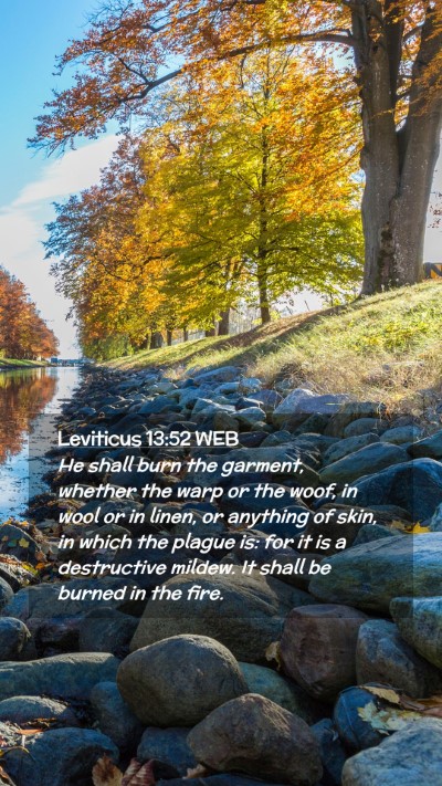 Picture 02 - Leviticus 13:52 WEB Mobile Phone Wallpaper - He shall burn the garment, whether the warp or - Mobile Bible Verse Wallpaper
