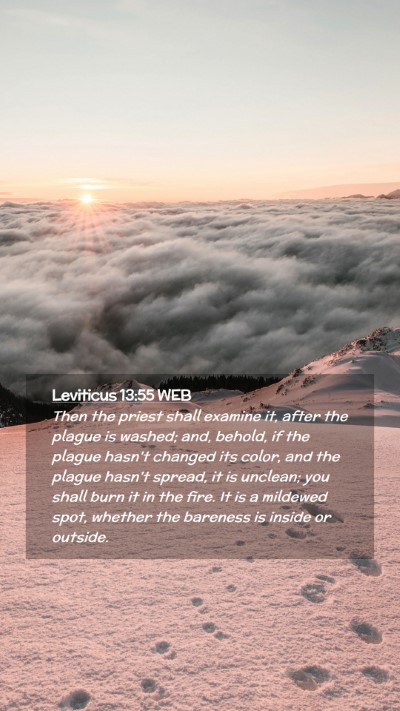 Picture 02 - Leviticus 13:55 WEB Mobile Phone Wallpaper - Then the priest shall examine it, after the - Mobile Bible Verse Wallpaper