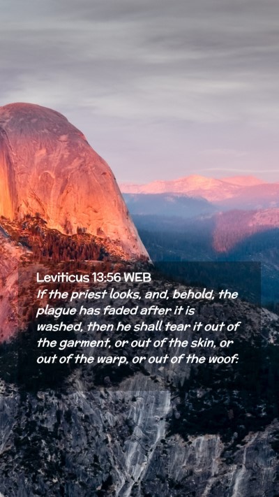 Picture 02 - Leviticus 13:56 WEB Mobile Phone Wallpaper - If the priest looks, and, behold, the plague has - Mobile Bible Verse Wallpaper