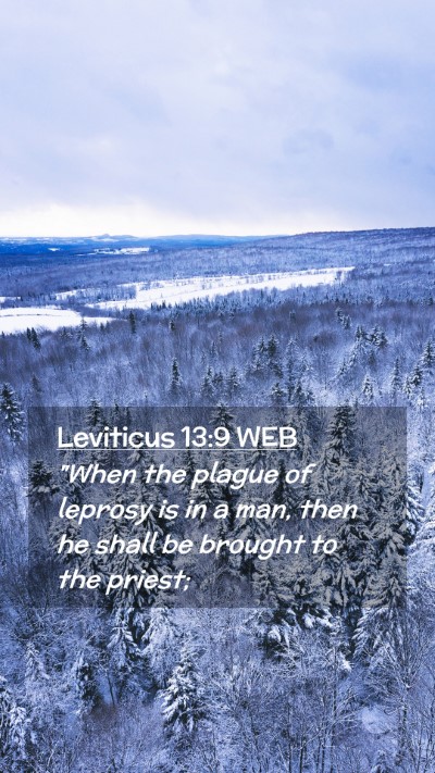 Picture 02 - Leviticus 13:9 WEB Mobile Phone Wallpaper - 
