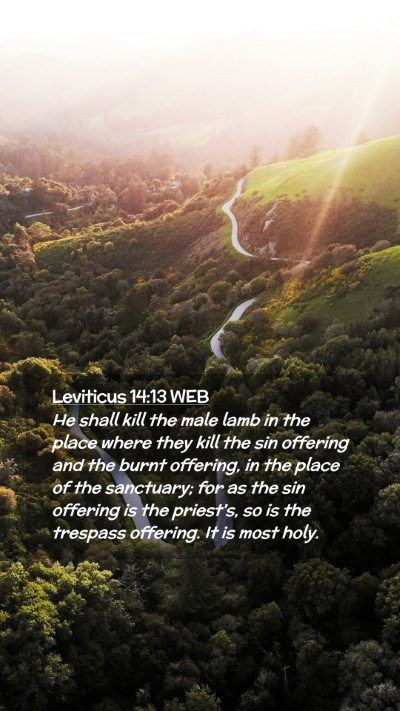 Picture 02 - Leviticus 14:13 WEB Mobile Phone Wallpaper - He shall kill the male lamb in the place where - Mobile Bible Verse Wallpaper