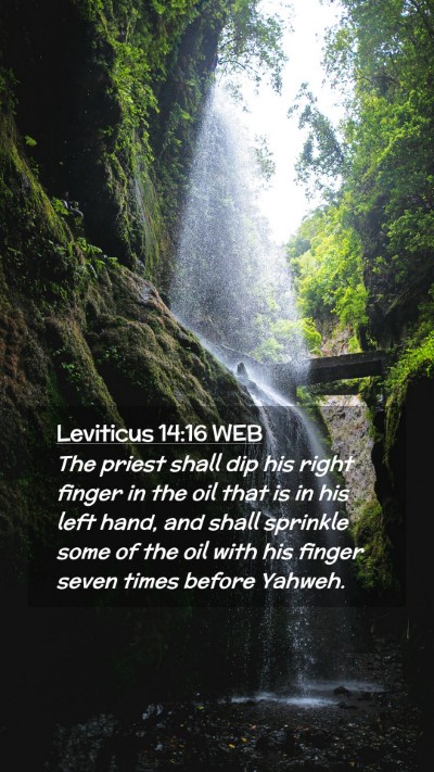 Picture 02 - Leviticus 14:16 WEB Mobile Phone Wallpaper - The priest shall dip his right finger in the oil - Mobile Bible Verse Wallpaper