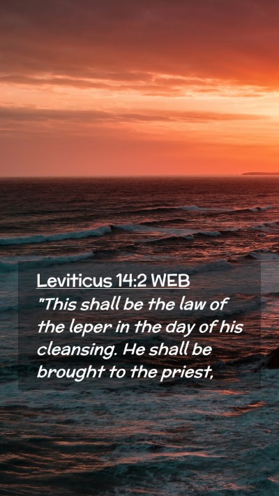 Picture 02 - Leviticus 14:2 WEB Mobile Phone Wallpaper - 