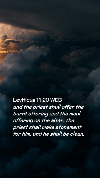 Picture 02 - Leviticus 14:20 WEB Mobile Phone Wallpaper - and the priest shall offer the burnt offering and - Mobile Bible Verse Wallpaper