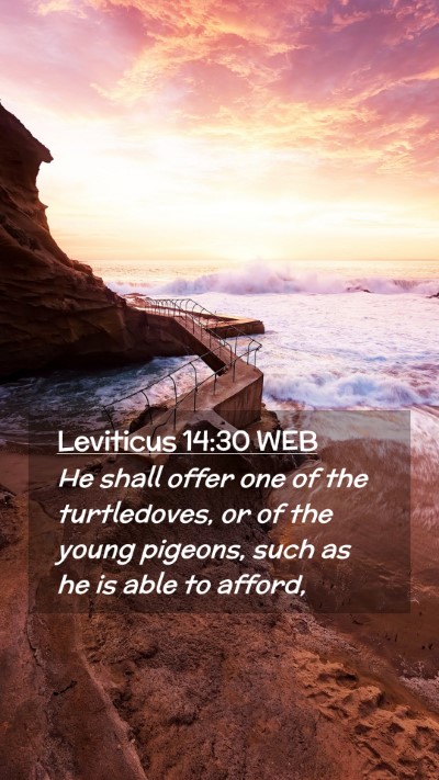 Picture 02 - Leviticus 14:30 WEB Mobile Phone Wallpaper - He shall offer one of the turtledoves, or of the - Mobile Bible Verse Wallpaper