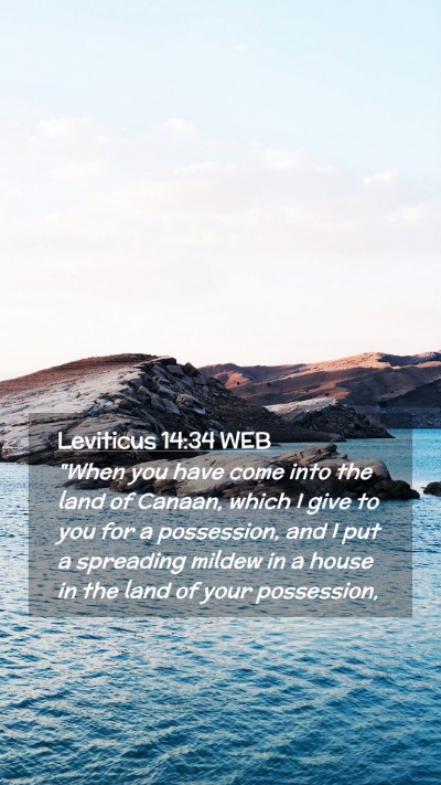 Picture 02 - Leviticus 14:34 WEB Mobile Phone Wallpaper - 