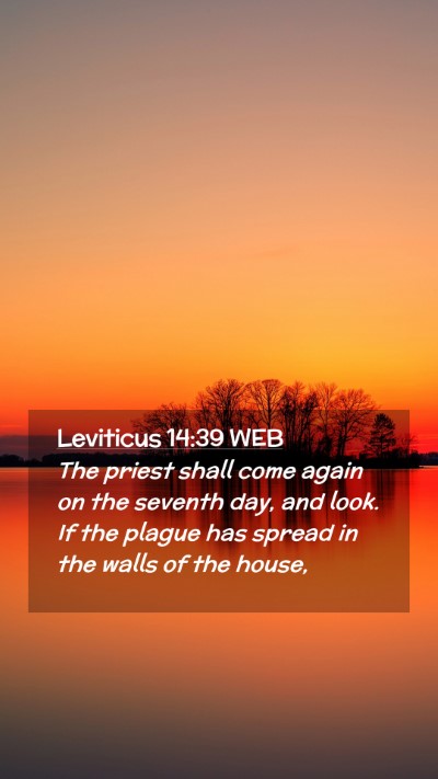 Picture 02 - Leviticus 14:39 WEB Mobile Phone Wallpaper - The priest shall come again on the seventh day, - Mobile Bible Verse Wallpaper