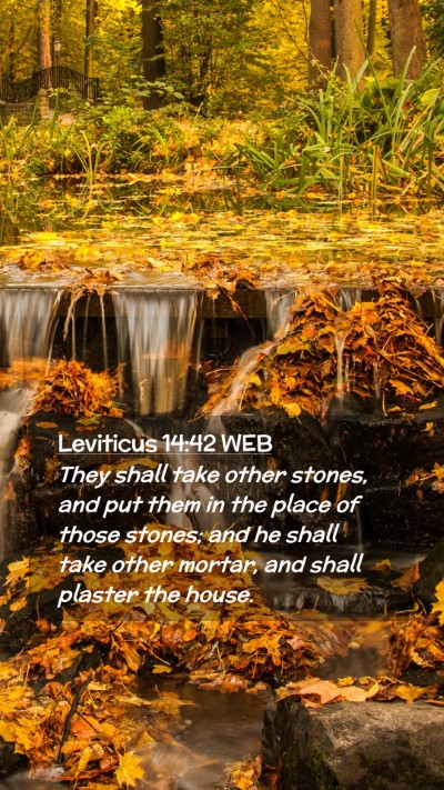 Picture 02 - Leviticus 14:42 WEB Mobile Phone Wallpaper - They shall take other stones, and put them in the - Mobile Bible Verse Wallpaper