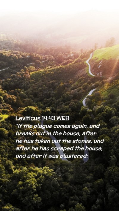 Picture 02 - Leviticus 14:43 WEB Mobile Phone Wallpaper - 
