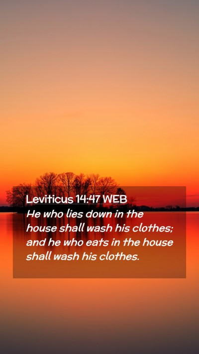 Picture 02 - Leviticus 14:47 WEB Mobile Phone Wallpaper - He who lies down in the house shall wash his - Mobile Bible Verse Wallpaper