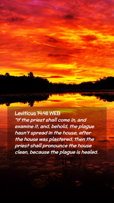 Picture 02 - Leviticus 14:48 WEB Mobile Phone Wallpaper - 