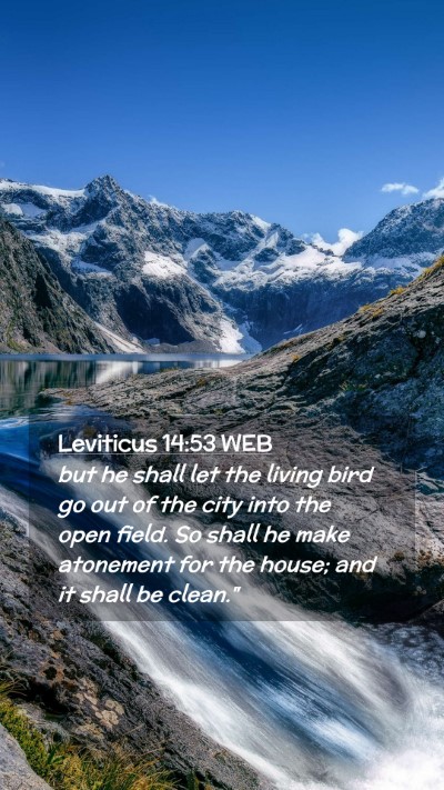 Picture 02 - Leviticus 14:53 WEB Mobile Phone Wallpaper - but he shall let the living bird go out of the - Mobile Bible Verse Wallpaper