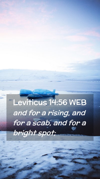 Picture 02 - Leviticus 14:56 WEB Mobile Phone Wallpaper - and for a rising, and for a scab, and for a - Mobile Bible Verse Wallpaper