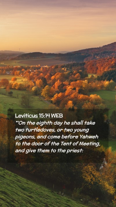 Picture 02 - Leviticus 15:14 WEB Mobile Phone Wallpaper - 