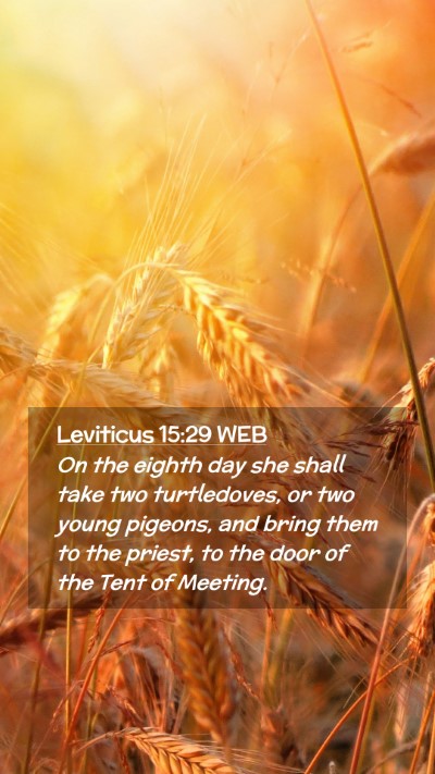 Picture 02 - Leviticus 15:29 WEB Mobile Phone Wallpaper - On the eighth day she shall take two turtledoves, - Mobile Bible Verse Wallpaper
