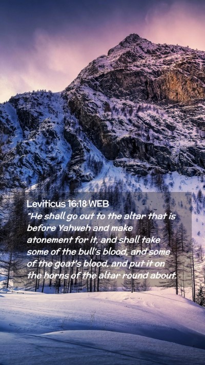 Picture 02 - Leviticus 16:18 WEB Mobile Phone Wallpaper - 