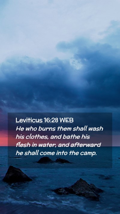 Picture 02 - Leviticus 16:28 WEB Mobile Phone Wallpaper - He who burns them shall wash his clothes, and - Mobile Bible Verse Wallpaper