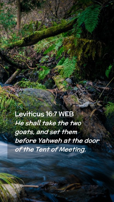 Picture 02 - Leviticus 16:7 WEB Mobile Phone Wallpaper - He shall take the two goats, and set them before - Mobile Bible Verse Wallpaper