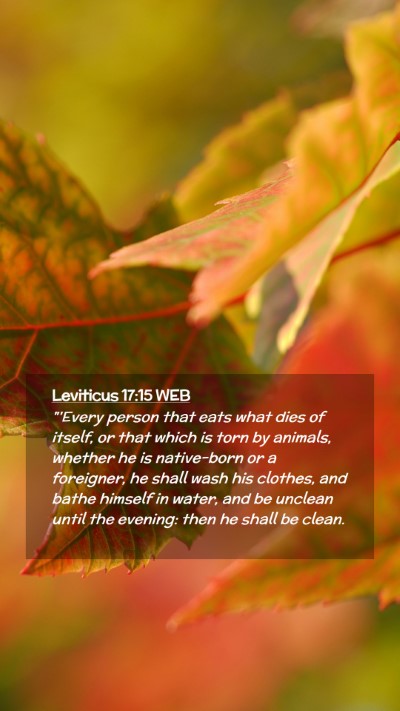 Picture 02 - Leviticus 17:15 WEB Mobile Phone Wallpaper - 