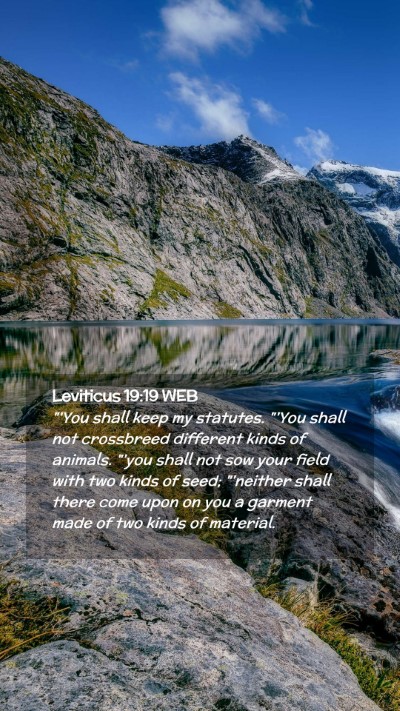Picture 02 - Leviticus 19:19 WEB Mobile Phone Wallpaper - 