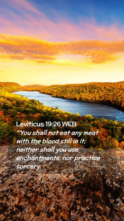 Picture 02 - Leviticus 19:26 WEB Mobile Phone Wallpaper - 