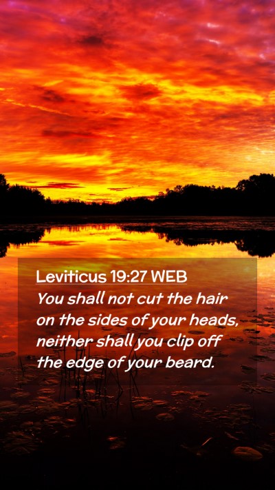 Picture 02 - Leviticus 19:27 WEB Mobile Phone Wallpaper - You shall not cut the hair on the sides of your - Mobile Bible Verse Wallpaper