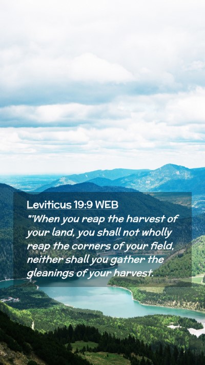 Picture 02 - Leviticus 19:9 WEB Mobile Phone Wallpaper - 