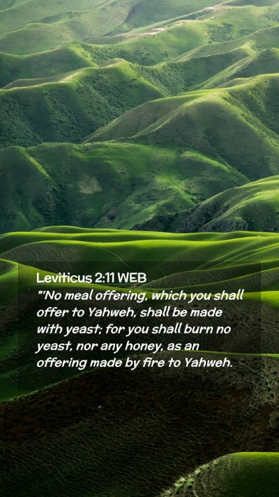 Picture 02 - Leviticus 2:11 WEB Mobile Phone Wallpaper - 