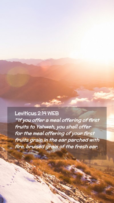 Picture 02 - Leviticus 2:14 WEB Mobile Phone Wallpaper - 