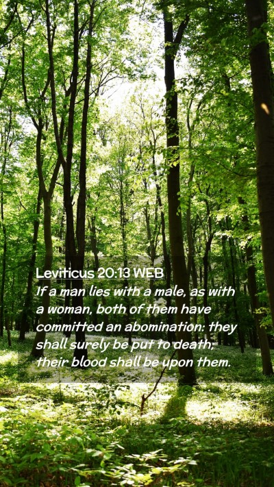 Picture 02 - Leviticus 20:13 WEB Mobile Phone Wallpaper - If a man lies with a male, as with a woman, both - Mobile Bible Verse Wallpaper