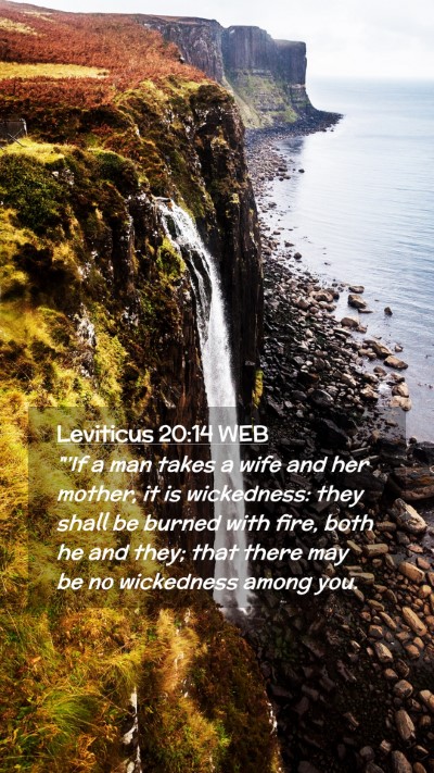 Picture 02 - Leviticus 20:14 WEB Mobile Phone Wallpaper - 