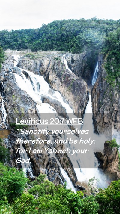 Picture 02 - Leviticus 20:7 WEB Mobile Phone Wallpaper - 