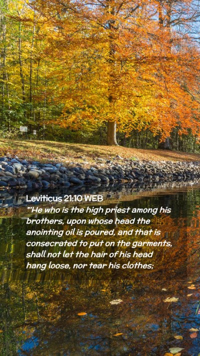 Picture 02 - Leviticus 21:10 WEB Mobile Phone Wallpaper - 