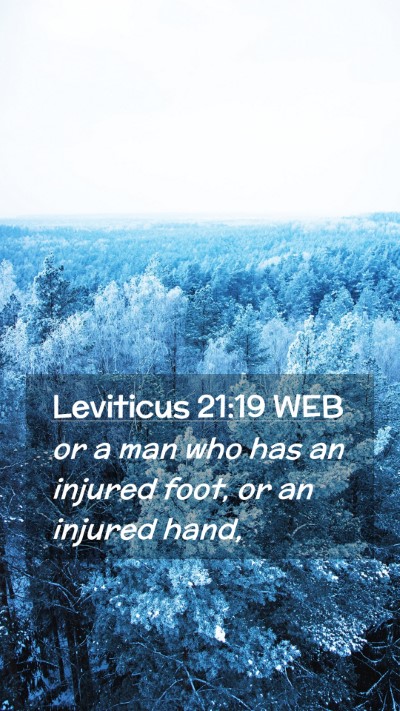 Picture 02 - Leviticus 21:19 WEB Mobile Phone Wallpaper - or a man who has an injured foot, or an injured - Mobile Bible Verse Wallpaper