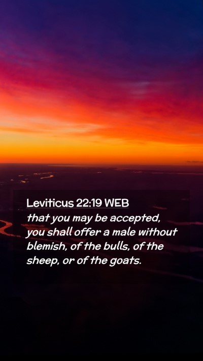 Picture 02 - Leviticus 22:19 WEB Mobile Phone Wallpaper - that you may be accepted, you shall offer a male - Mobile Bible Verse Wallpaper