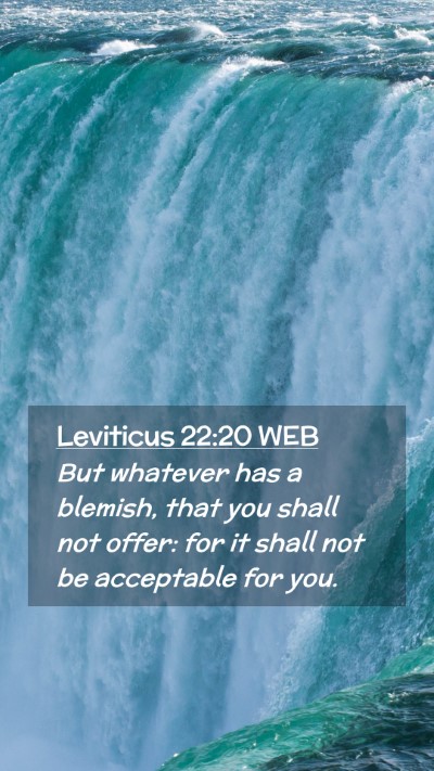 Picture 02 - Leviticus 22:20 WEB Mobile Phone Wallpaper - But whatever has a blemish, that you shall not - Mobile Bible Verse Wallpaper