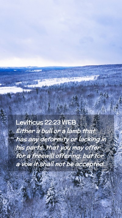 Picture 02 - Leviticus 22:23 WEB Mobile Phone Wallpaper - Either a bull or a lamb that has any deformity or - Mobile Bible Verse Wallpaper