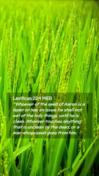 Picture 02 - Leviticus 22:4 WEB Mobile Phone Wallpaper - 