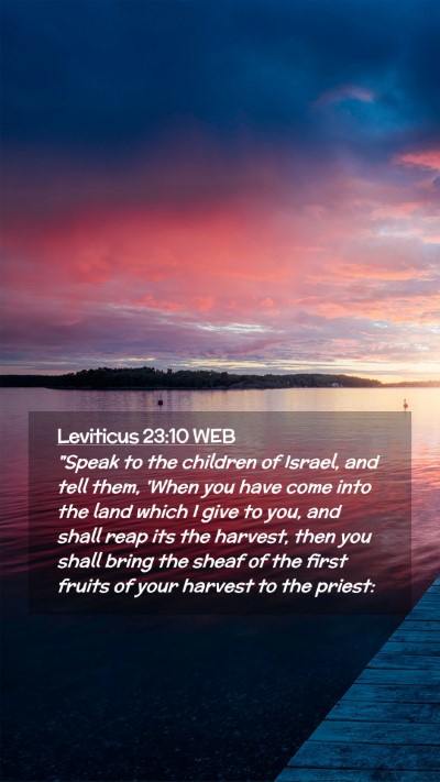 Picture 02 - Leviticus 23:10 WEB Mobile Phone Wallpaper - 