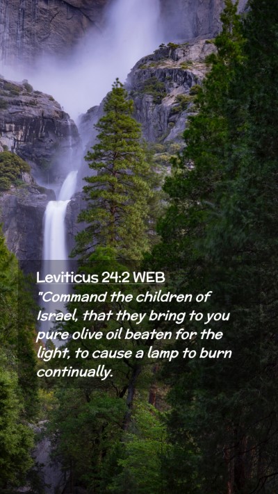 Picture 02 - Leviticus 24:2 WEB Mobile Phone Wallpaper - 