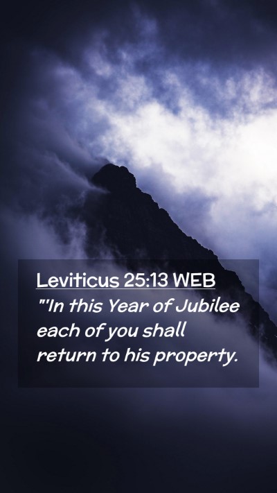 Picture 02 - Leviticus 25:13 WEB Mobile Phone Wallpaper - 