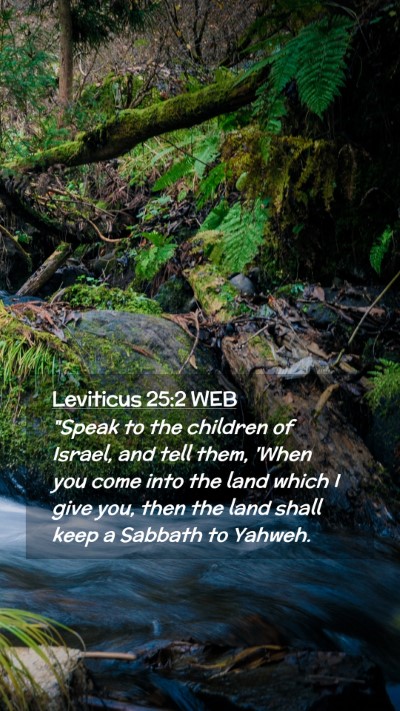 Picture 02 - Leviticus 25:2 WEB Mobile Phone Wallpaper - 