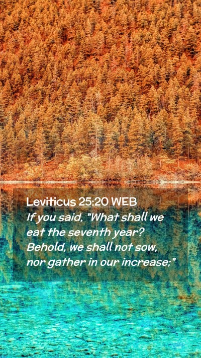 Picture 02 - Leviticus 25:20 WEB Mobile Phone Wallpaper - If you said, 