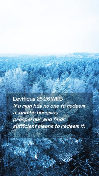 Picture 02 - Leviticus 25:26 WEB Mobile Phone Wallpaper - If a man has no one to redeem it, and he becomes - Mobile Bible Verse Wallpaper