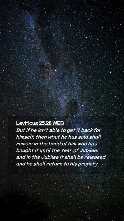 Picture 02 - Leviticus 25:28 WEB Mobile Phone Wallpaper - But if he isn't able to get it back for himself, - Mobile Bible Verse Wallpaper