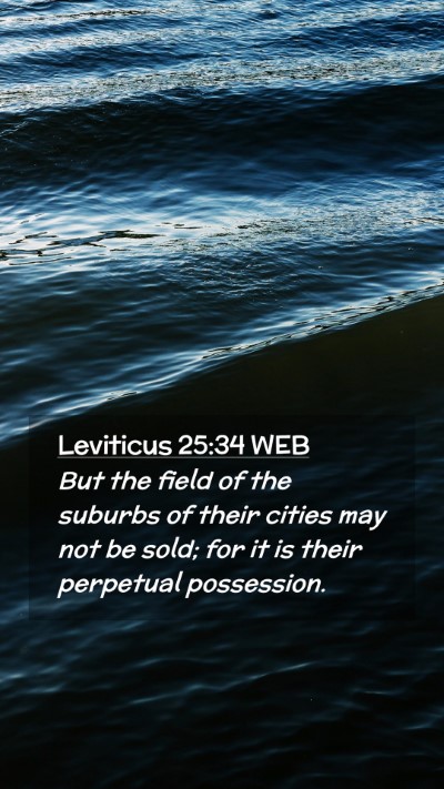Picture 02 - Leviticus 25:34 WEB Mobile Phone Wallpaper - But the field of the suburbs of their cities may - Mobile Bible Verse Wallpaper