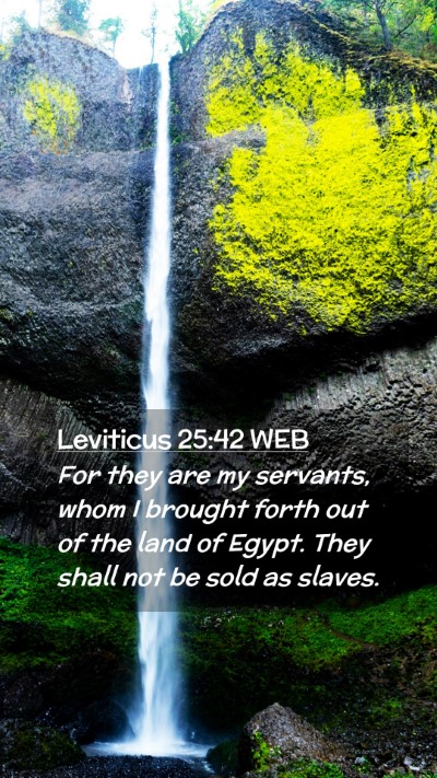 Picture 02 - Leviticus 25:42 WEB Mobile Phone Wallpaper - For they are my servants, whom I brought forth - Mobile Bible Verse Wallpaper