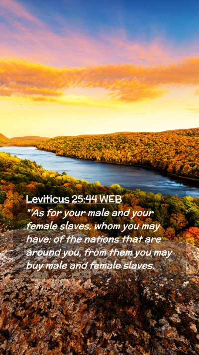 Picture 02 - Leviticus 25:44 WEB Mobile Phone Wallpaper - 